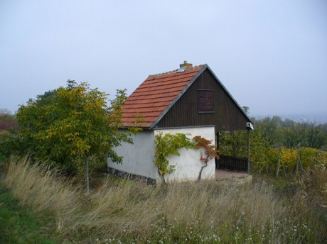 P1040434.jpg