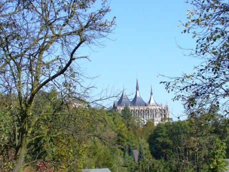 P1060631.JPG