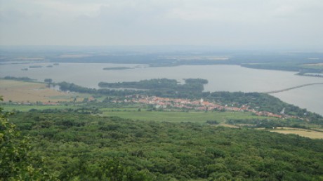 DSC00581