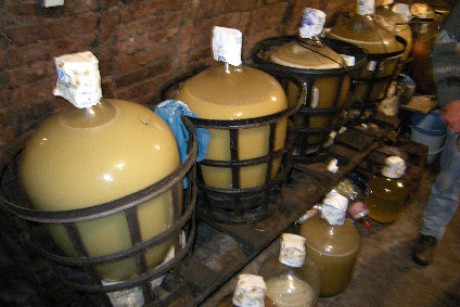 DSCN0895.jpg