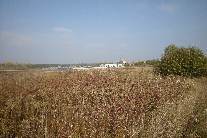 DSCN0917.jpg