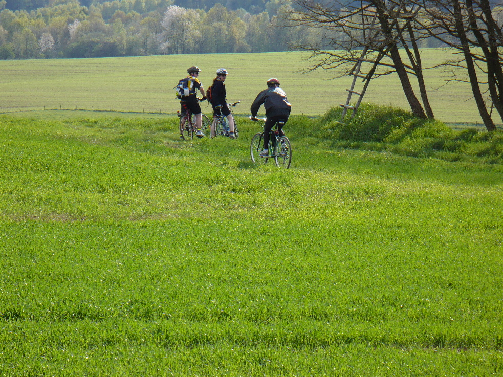 P1000204.jpg