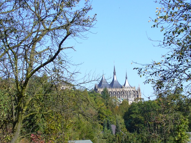 P1060631.JPG