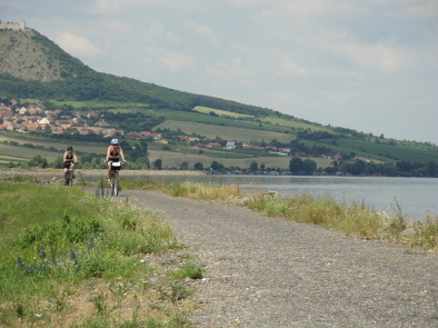 DSC00533