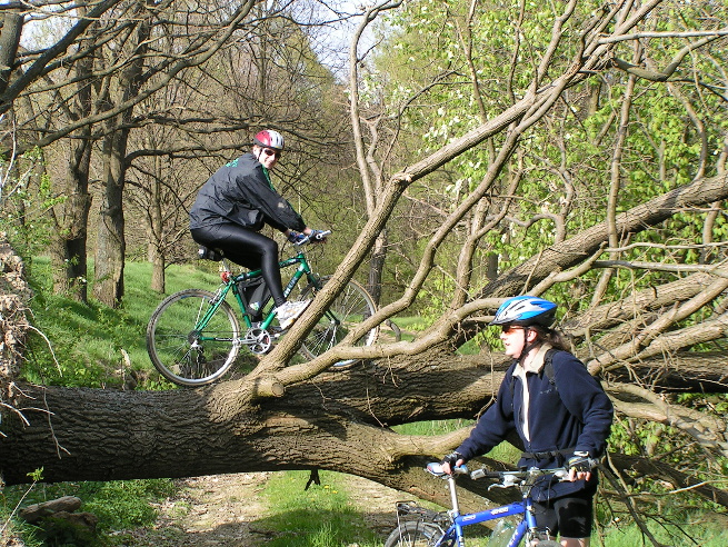 PICT5211.jpg