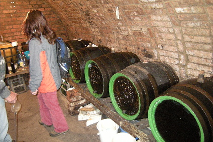 DSCN0896.jpg
