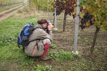 DSCN0901.jpg