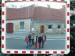 P1030178.jpg